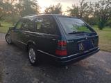 Mercedes-Benz W 124 TE Kombi 220 - Mercedes-Benz 220: W124