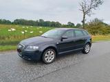 Audi A3 2.0 Sportback, Klima, 4-türig, Alu... - Audi A3: Türig