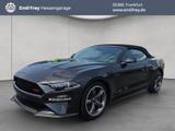 Ford Mustang Convertible 5.0 Ti-VCT V8 Aut. GT - Ford Mustang Gebrauchtwagen in Frankfurt