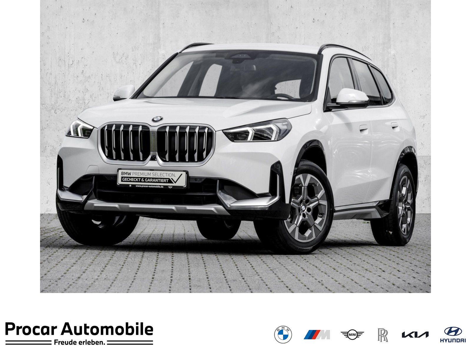 BMW X1 sDrive20d xLine HUD ACC AHK RFK NAVI LED LM
