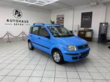Fiat Panda 1.2 8V Dynamic *TÜV*KLIMA* - Fiat Panda Gebrauchtwagen in Bielefeld
