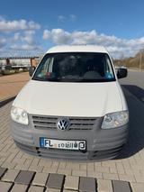 Volkswagen VW Caddy 2.0 SDI TÜV 02/27 - Volkswagen Caddy: Sdi