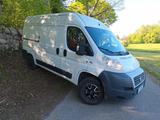 Fiat Ducato Dangel 4 X 4 - Fiat X