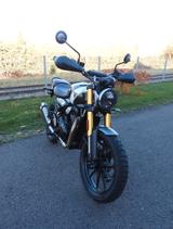 Triumph Scrambler 400 X, grün, TOP! - TRIUMPH T400