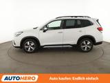 Subaru Forester 2.0 Platinum Aut.*NAV*ACC*CAM*PDC*SHZ* - Subaru Gebrauchtwagen in Hannover