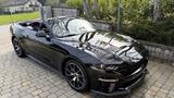 Ford Mustang Ecoboost, ehemaliger Ford Werkswagen - Ford Mustang: For