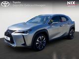 Lexus UX 250h Style Edition SHZ KAMERA - silberne Lexus UX