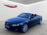 Audi A5 Cabriolet 2.0 TFSI/S-Line/Leder braun/Scheckh - Audi A5 aus 2010: Cabrio