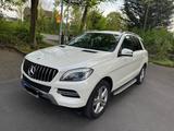 Mercedes-Benz Mersedes Benz 350 ML - Mercedes-Benz 350: M350