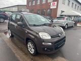 Fiat Panda Lounge/TÜV NEU/Kupplung NEU/74000Tkm - Fiat Panda: Lounge