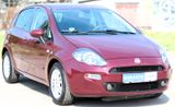 Fiat Punto Lounge"gepflegt"TÜV"Klima" - Fiat Punto aus 2013