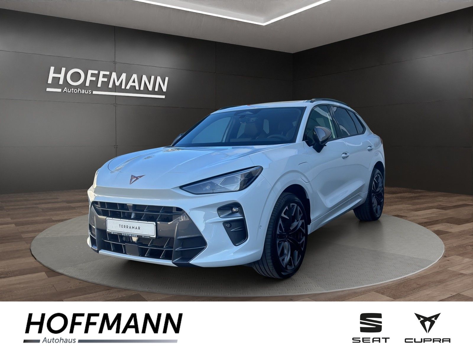 Fahrzeugbild von Cupra Terramar