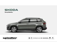 Skoda Karoq - Vorschau Bild 1