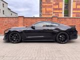 Ford Mustang 5.0 Ti-VCT V8 GT Optik Shelby GT350 - Ford Mustang: Shelby Gt350