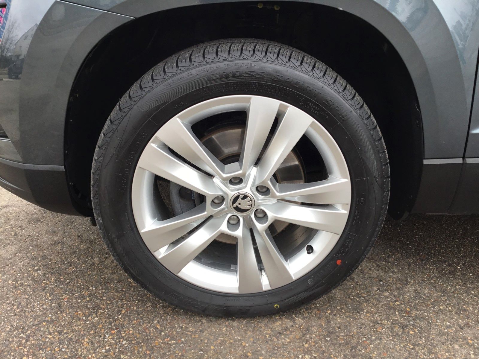 Fahrzeugabbildung SKODA Karoq 2.0 TDI Style 4x4+LED+AHK+18"+Navi