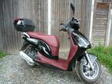Honda Top Motorroller PS 125i Einspritzer Sparsam - ROLLER MOTOR