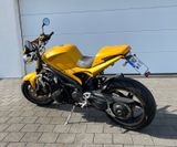 Triumph Speed Triple 1050 Gold - Offers matching your search criteria