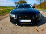 Audi A5 Sportback 3.2 - : Audi A5 2009 Sportback