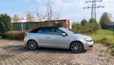 Volkswagen VW Golf 6 Cabrio  1.6 TDI 77KW Diesel - Volkswagen Golf: Cabrio, 7