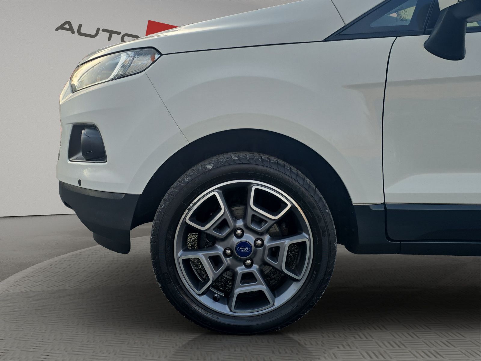 Fahrzeugabbildung Ford EcoSport Trend/KLIMA/RÜCKFAHRKAMERA