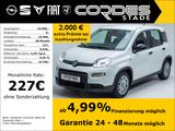 Fiat Panda Pandina City Paket 1.0 Mild Hybrid PDC Kli - Fiat Panda Gebrauchtwagen