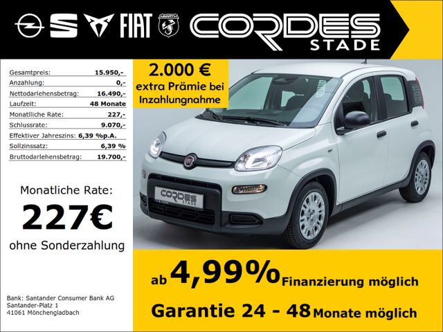 Fiat Panda Pandina City Paket 1.0 Mild Hybrid PDC Kli