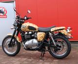 Triumph Scrambler, Bonneville, Speedmaster Safai Edition - TRIUMPH SPEEDMASTER