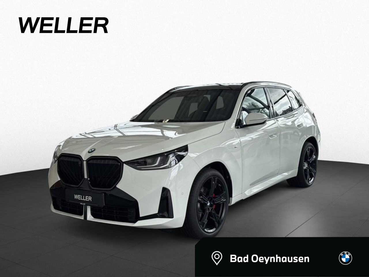 BMW X3 20d xD SpoSi, PA+,DAProf, AHK Sportpaket Navi