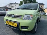 Fiat Panda 4X4 * Allrad, Klima, Radio/CD, Nr. 72 - Fiat Panda in Dresden