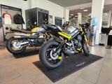 Triumph Street Triple 765 Moto 2, sofort verfügbar - TRIUMPH NAKED BIKE