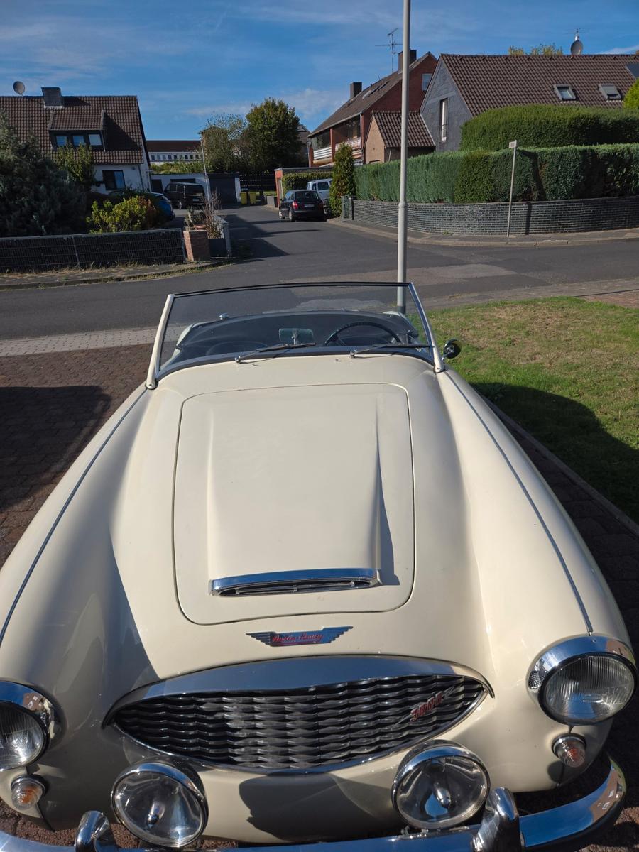 Austin Healey Andere