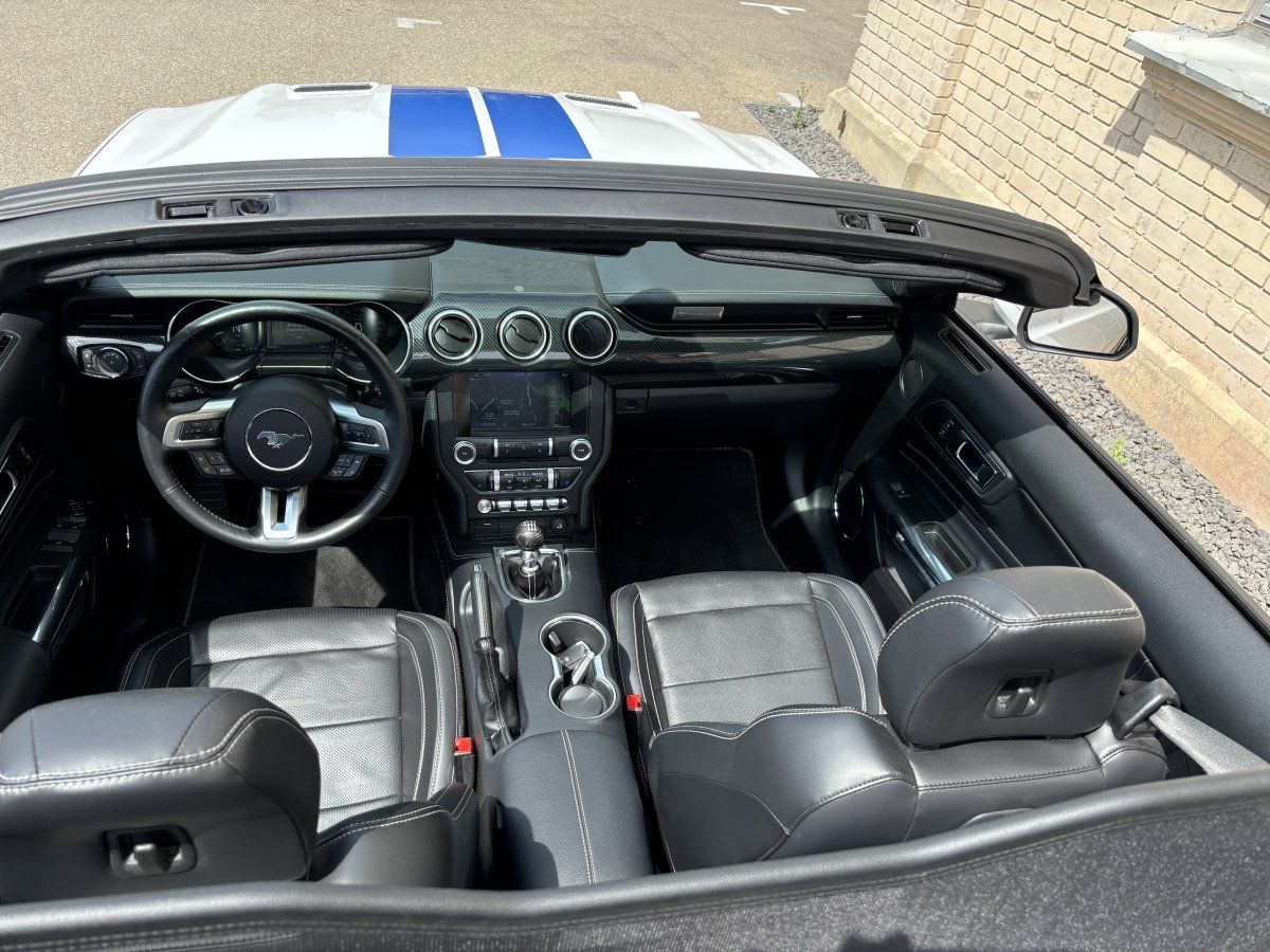 Ford Mustang (GT 5.0 Convertible Shelby-Optik/20Zoll/T)