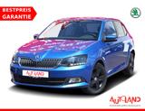 Skoda Fabia 1.0 Ambition SmartLink Sitzheizung PDC - Skoda Fabia: 1.0