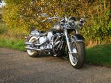 Harley-Davidson Softail Deluxe FLSTN - Angebote