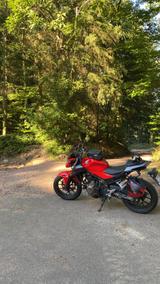 Honda CB500F mit viel Zubehör: Koffer, USB Stecker, us - HONDA CB 500 S