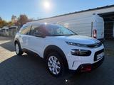 Citroën C4 Cactus Shine=Kamera-8 Fach Bereift-Klima= - Citroën Gebrauchtwagen in Lübeck