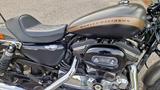Harley-Davidson Sportster XL 1200 CA Custom - Angebote entsprechen deinen Suchkriterien