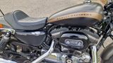Harley-Davidson Sportster XL 1200 CA Custom - Offers matching your search criteria