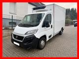 Fiat Ducato - Angebote