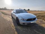 Ford Mustang 4.0 V6 S197 - Ford Mustang Gebrauchtwagen in Stuttgart