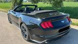 Ford Mustang Cabrio 2.3 Ecoboost - Ford Mustang in Freiburg