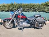 Suzuki Intruder VL 800 C - SUZUKI INTRUDER C 800