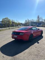 Ford Mustang 2.3 EcoBoost - - Ford Mustang: Rot