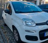 Fiat Panda - Fiat Panda Gebrauchtwagen in Frankfurt