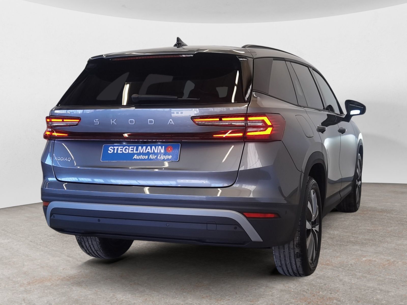 Skoda Kodiaq - Bild 6