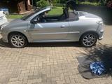 Peugeot 206 CC Quiksilver 110 Quicksilver - Peugeot 206: Quicksilver