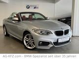 BMW 228i M Sport Paket Cabrio/DEUTSCH/1.Hand/Leder/ - BMW 228 aus 2015