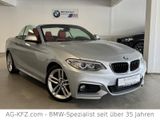 BMW 228i M Sport Paket Cabrio/DEUTSCH/1.Hand/Leder/