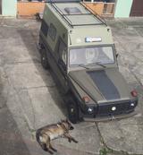 Mercedes-Benz Steyr PUCH Automatik Standheiz Leder G 230 - Oldtimer