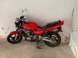 Kawasaki ER-5 - TÜV März 2027 - KAWASAKI ER 5